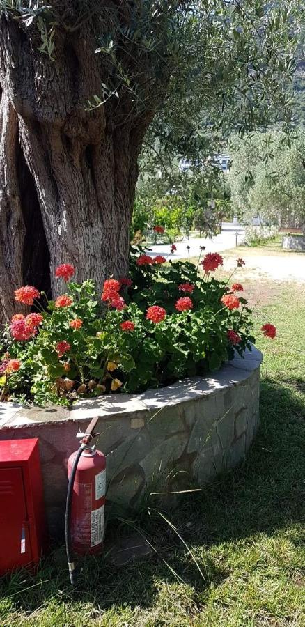 Hotel Maria Chrysi Ammoudia Bagian luar foto