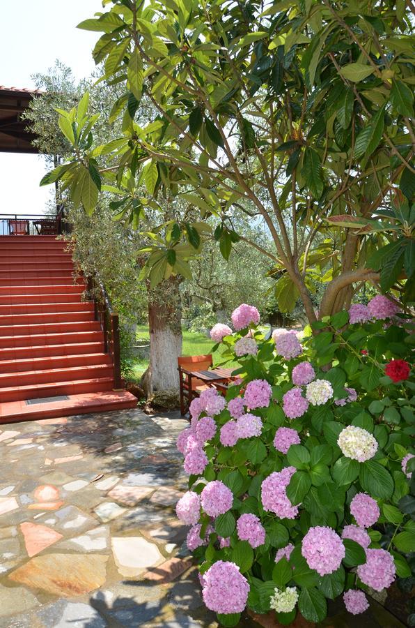 Hotel Maria Chrysi Ammoudia Bagian luar foto